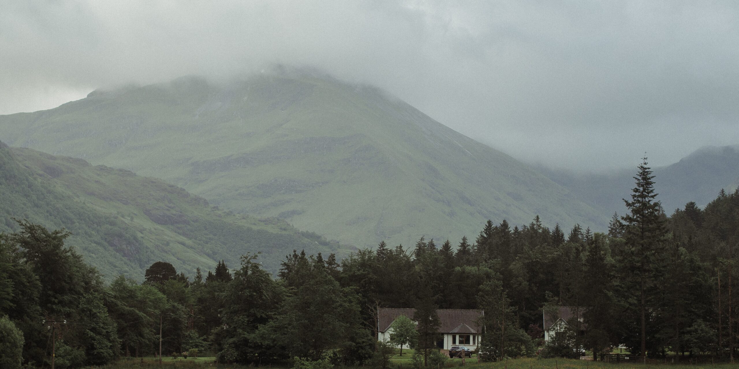 backgorund- img